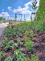 Vorbereitungen f&uuml;r den Sommerflor auf der Landesgartenschau (Stadt Leinefelde-Worbis)