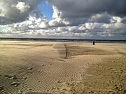 Unterwegs auf Ameland (Foto: S. Schedwill)