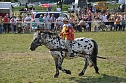 Kampf der Giganten Sundhausen (Foto: nnz-City Scout: Sven G&auml;mkow)