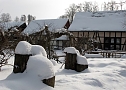 Wintergr&uuml;&szlig;e (Foto: Ch. Wiesemann)