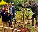 Baumpflanzung im Harz v. links Patrick Kurth- FDP-Direktkandidat; Kreischef FDP Nordhausen Claus-Peter Ro&szlig;berg (Mitte) (Foto: FDP )