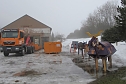 Neues vom Kuhstall (Foto: Christiane Wiesemann)