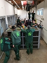 Eine ungew&ouml;hnliche Rettungsaktion f&uuml;hrte die Mitarbeiter des B&auml;renparks bis in die Ukraine (Foto: B&auml;renpark Worbis)