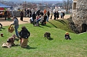 Ostern auf dem Petersberg (Foto: nnz-City Scout Sven G&auml;mkow)