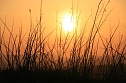 Sonnenuntergang - fotografiert vom Hainer Berg (Foto: Christoph Keil)