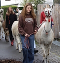 Unterwegs mit den Unstrut Lamas aus Herbsleben (Foto: Eva Maria Wiegand) Unterwegs mit den Unstrut Lamas aus Herbsleben (Foto: Eva Maria Wiegand)