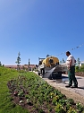Neue Pflanzen ziehen auf dem Gel&auml;nde der Landesgartenschau ein. (Foto: Ren&eacute; Wei&szlig;bach)