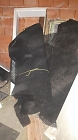 Hangmatte