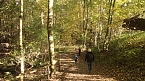 Goldener Herbst im B&auml;renpark Worbis (Foto: Angelo Glashagel)