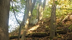 Goldener Herbst im B&auml;renpark Worbis (Foto: Angelo Glashagel)
