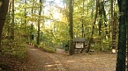 Goldener Herbst im B&auml;renpark Worbis (Foto: Angelo Glashagel)