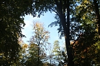 Goldener Herbst im B&auml;renpark Worbis (Foto: Angelo Glashagel)