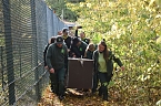 Mit Elba ist der zweite "Waldgeist" im B&auml;renpark eingezogen (Foto: Bernd Nonnenmacher)
