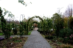 Saisonabschluss im Rosarium (Foto: P.Blei)