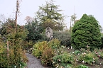 Saisonabschluss im Rosarium (Foto: P.Blei)