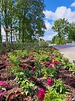 Vorbereitungen f&uuml;r den Sommerflor auf der Landesgartenschau (Foto: Stadt Leinefelde-Worbis)