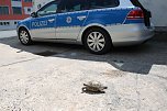 Besuch bei der Polizei (Foto: API)