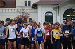 Citylauf 2008 (Foto: Sven G&auml;mkow)