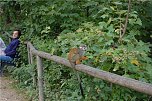 Affenwald Erlebnispark Straußberg (Foto: Sven Gämkow) Affenwald Erlebnispark Straußberg (Foto: Sven Gämkow)