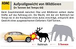 Wildunf&auml;lle reduzieren (Foto: ADAC/DJV)