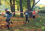 Stadtparklauf (Foto: Karl-Heinz Herrmann)