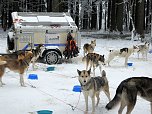 Schlittenhunderennen in Benneckenstein (Foto: Karin Lehmann, Peter Blei)