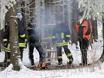Schlittenhunderennen in Benneckenstein (Foto: Karin Lehmann, Peter Blei)