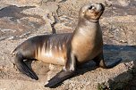 Besuch im Zoo am Meer (Foto: Sven Tetzel)