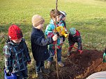 Pflanzaktion in Neustadt (Foto: Anett Papke)