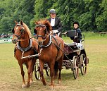Pferde, Pferde und nochmals Pferde (Foto: Berti Voigt)