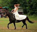 Pferde, Pferde und nochmals Pferde (Foto: Berti Voigt)