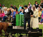 Pferde, Pferde und nochmals Pferde (Foto: Berti Voigt)