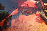 Welt der Reptilien in der Wiedingsburghalle (Foto: nnz-City Scout: Sven G&auml;mkow)