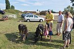 Kampf der Giganten Sundhausen (Foto: nnz-City Scout: Sven G&auml;mkow)