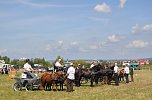 Kampf der Giganten Sundhausen (Foto: nnz-City Scout: Sven G&auml;mkow)