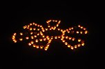Lichterfest 2009 (Foto: nnz-City Scout: Sven G&auml;mkow)