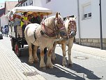 Festumzug in Bildern (Foto: Ilka K&uuml;hn)