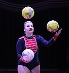 Zirkus in Heiligenstadt (Foto: ARENA)