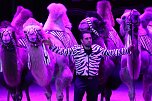 Zirkus in Heiligenstadt (Foto: ARENA)