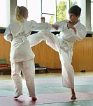 Prüfungstag bei den Leinefelder Kampfsportlern (Foto: Domenic Hesse) Prüfungstag bei den Leinefelder Kampfsportlern (Foto: Domenic Hesse)