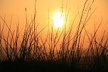 Sonnenuntergang - fotografiert vom Hainer Berg (Foto: Christoph Keil)