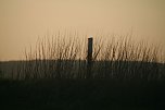 Sonnenuntergang - fotografiert vom Hainer Berg (Foto: Christoph Keil)