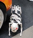 Peter Blei unterwegs auf der Automesse Erfurt (Foto: Peter Blei) Peter Blei unterwegs auf der Automesse Erfurt (Foto: Peter Blei)