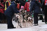 Hundeschlittenrennen im Harz (Foto: Peter Blei)