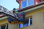 Ein Mauersegler war in Heiligenstadt in Gefahr geraten.  (Foto: Niklas-Finn Beck)