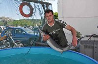 Bild: Fischfest in Auleben
