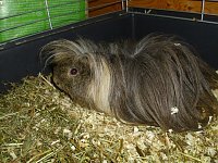 Bild: Kleine Racker