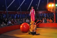 Bild: Quirliger Variet&eacute;abend zum Zirkusfestival