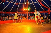 Bild: Quirliger Variet&eacute;abend zum Zirkusfestival