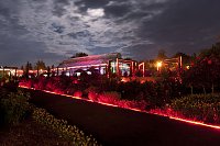 Botanischer Garten im Lichtermeer Bild: Botanischer Garten im Lichtermeer